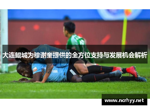 大连鲲城为穆谢奎提供的全方位支持与发展机会解析