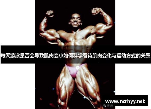 每天游泳是否会导致肌肉变小如何科学看待肌肉变化与运动方式的关系