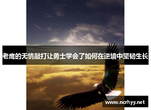 老鹰的无情敲打让勇士学会了如何在逆境中坚韧生长